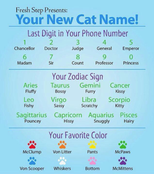 resplandecen:

Emperor Pouncey McMittens.

Count Kissy Mcmittens
oh lord xD