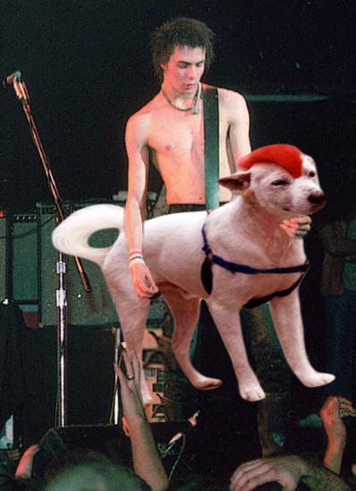 DOG SAVE THE QUEEN (Sid Vicious Bass Dog)