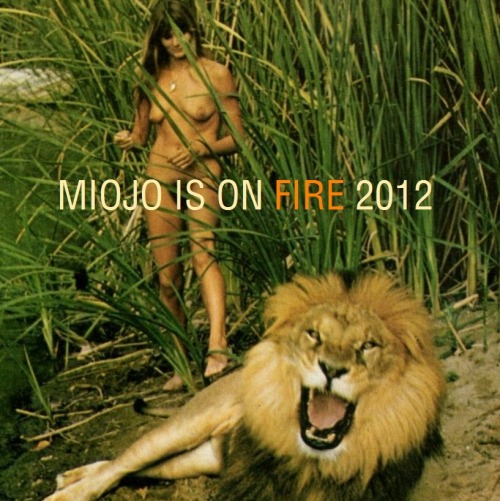 Miojo Is On Fire 2012