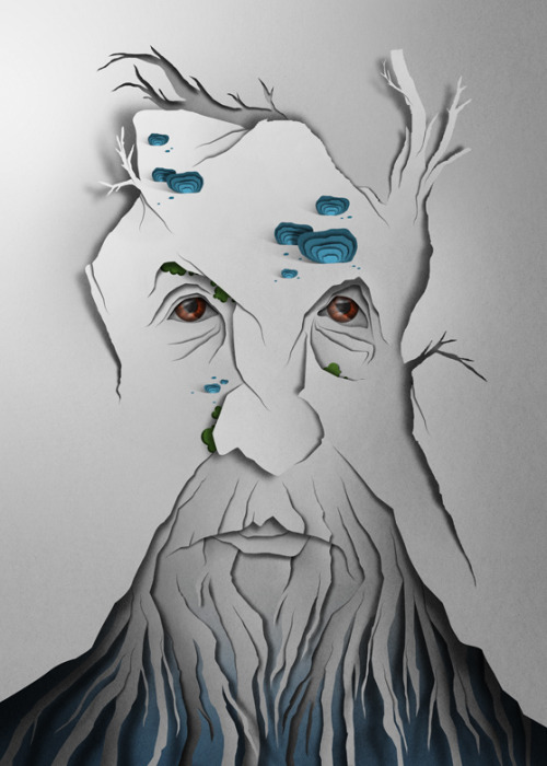 Treebeard by Eiko Ojala