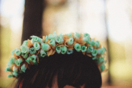 floralls:Flower crown (by Tom ▲)