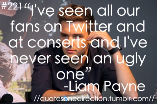 Facts, Quotes and Other Fun Things About 1D