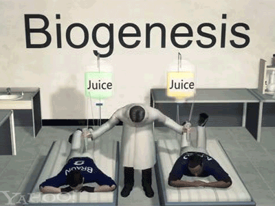 Mlb steroids biogenesis