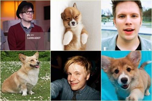 shewillbelubed:

HE IS LITERALLY THE HUMAN FORM OF A CORGI
