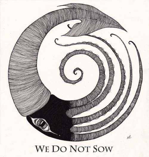 We do not sow