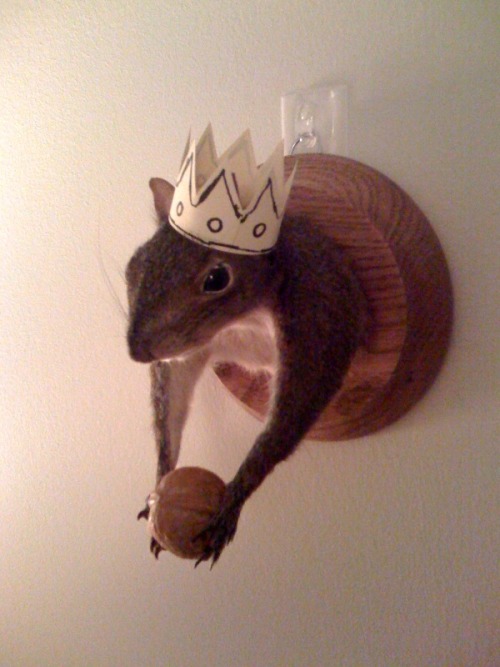 My squirrel king. crappytaxidermy: submitted by wes b.