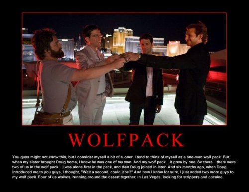 funny quotes from hangover. Wolfpack Funny Quotes
