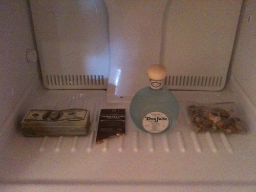 scottcampbelltattoo:  The perfect freezer. 30k cash. Chocolate. Don Julio. Mushrooms.
