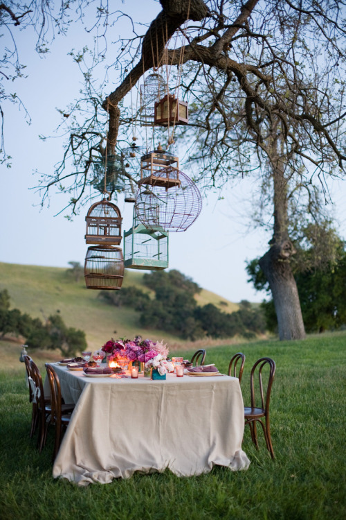 Tags birdhouses outside table tree wedding weddings