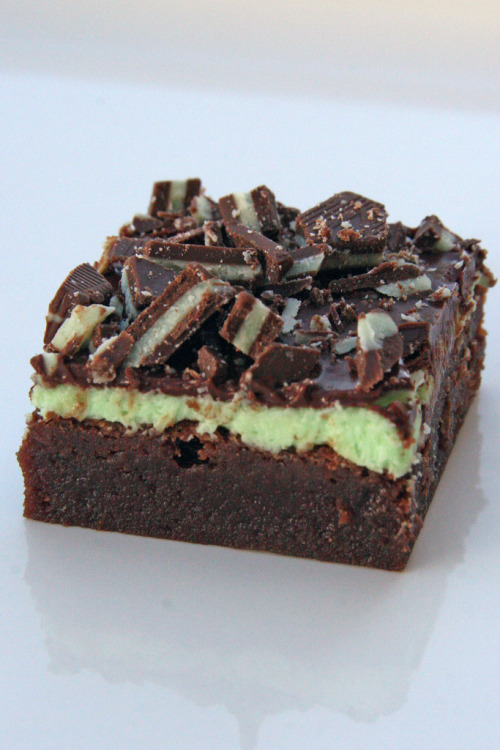 celebratewithcake:

Chocolate Mint Brownies:
Ingredients:

Brownie Layer:



1/2 cup (113 grams) unsalted butter, cut into pieces


4 ounces (114 grams) unsweetened chocolate, coarsely chopped


1 1/4 cups (250 grams) granulated white sugar


1 teaspoon pure vanilla extract


2 large eggs


1/2 cup (70 grams) all purpose flour


1/4 teaspoon salt



Mint Layer:



2 tablespoons (28 grams) unsalted butter, at room temperature


1 cup (115 grams) confectioners (powdered or icing) sugar, sifted


1 - 1 1/2 tablespoons heavy cream


1/2 teaspoon pure peppermint extract or 1-2 tablespoons creme de menthe


green food coloring (optional)



Chocolate Glaze:



3 ounces (90 grams) semisweet chocolate, chopped


1 tablespoon (14 grams) unsalted butter


Preparations:
Preheat oven to 325 degrees F (160 degrees C) and place the rack in the center of the oven. Have ready a 9 x 9 inch (23 x 23 cm) square baking pan that has been lined with aluminum foil across the bottom and up two opposite sides of the pan. Set aside.
Brownies: In a stainless steel (heatproof) bowl placed over a saucepan of simmering water, melt the butter and chocolate. Remove from heat and stir in the sugar and vanilla extract. Add the eggs, one at a time, beating well (with a wooden spoon) after each addition. Stir in the flour and salt and beat, with a wooden spoon, until the batter is smooth and glossy and comes away from the sides of the pan (about one minute). Pour the brownie batter evenly into the prepared pan.
Bake in the preheated oven for about 25 minutes or until the brownies start to pull away from the sides of the pan and the edges of the brownies are just beginning to brown. A toothpick inserted in the center of the brownies will come out almost clean. Remove from oven and place on a wire rack to completely cool.
Mint Layer: In the bowl of your electric mixer, or with a hand mixer, beat all the ingredients until smooth. Add a few drops of green food coloring if you want the frosting green. If the frosting is too thick, add a little extra cream. (The frosting should be just thin enough to spread.) Spread the frosting evenly over the cooled brownie layer. Place in the refrigerator for about 5-10 minutes or until firm.
Chocolate Glaze:  In a heatproof bowl over a saucepan of simmering water, melt the chocolate and butter. Spread over the mint filling and refrigerate for about 30 minutes or until the chocolate glaze starts to dull.
To Serve: Remove the brownies from the pan by lifting with the ends of the foil and transfer to a cutting board. With a sharp knife, cut into 30 squares. It is a good idea to wipe your knife between cuts with a damp cloth. These brownies can be stored in the refrigerator for several days or else frozen.
Makes about 30 1-inch (2.5 cm) squares.
Photo by Glorious Treats, recipe found at Chocolate Chipped by Stephanie Jaworski from Joy Of Baking.