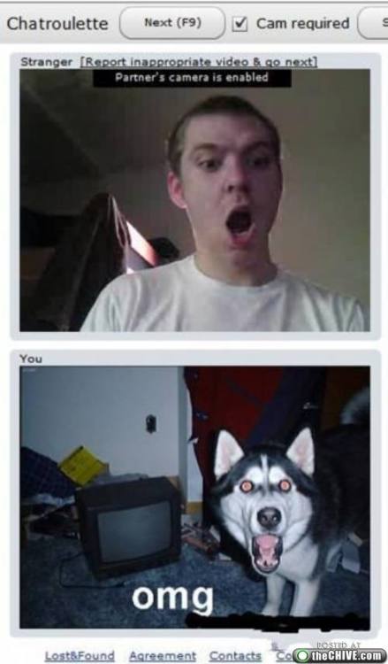 funny chatroulette screenshots. Funny chatroulette screenshots