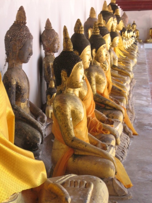 Buddah Statues