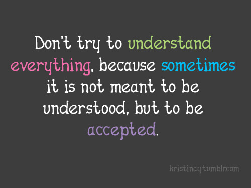 Donâ€™t Try To Understand Everything