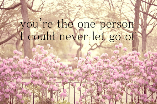 quotes about letting go of someone you love. quote: you\\re the one i never