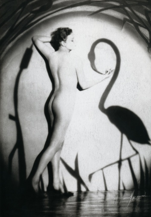 liquidnight:Manassé  Study, circa 1926 From Divas and Lovers: The Erotic Art of Studio Manassé 