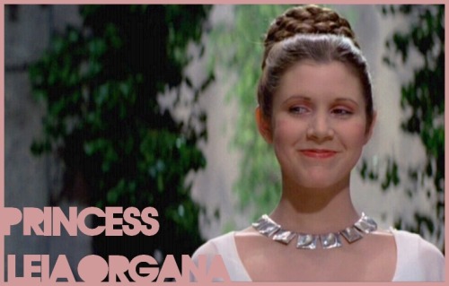 Leia Organa Solo born Leia Amidala Skywalker was at various stages of her 