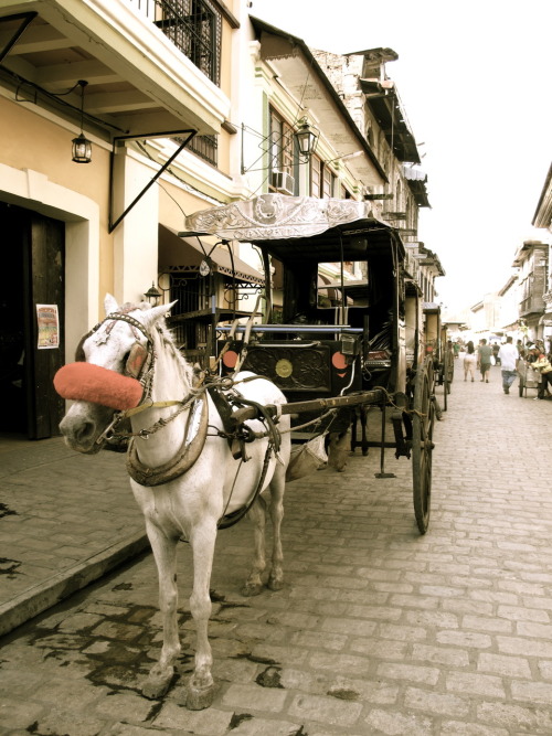 Get the full Vigan experience by riding a kalesa (horse-drawn carriage) :D Crisologo Walk, Vigan, Ilocos Sur.  February 2010.