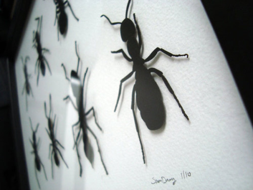 Laser Cut Paper Ants | Design You Trust