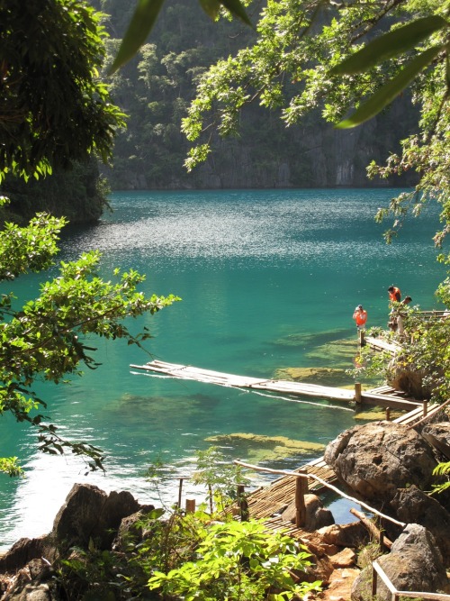 My favorite part of Coron, Palawan: the gorgeous freshwater Kayangan Lake.  The locals are strict when it comes to maintaining the cleanliness of the lake. Picnics are not allowed within the vicinity. Lunch is served on the other side of the steep climb you have to go through to see the lake. It’s a good fifteen to twenty minute climb—depending on how fit you are.The moment you see the lake…it will take your breath away. It remains my favorite place to visit in the whole of Palawan. :)