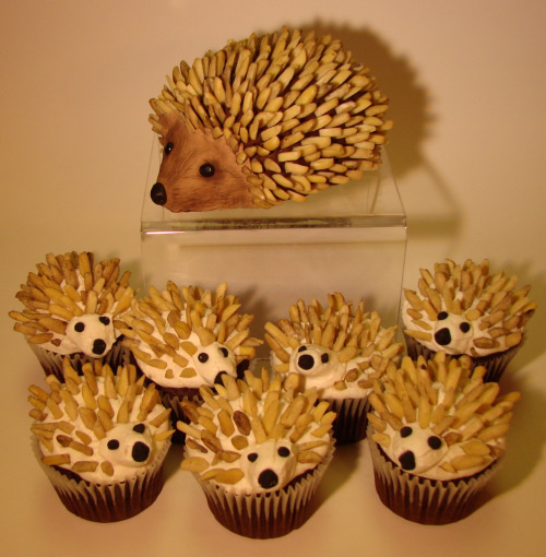 fancyturtles:  cupcakesoftheday:  stasis:  Hedgehog cupcakes by Cupcake Envy    Hedgehogs <3