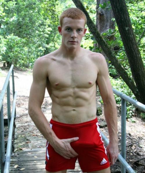 hot bulge v10horse A red bulge and a red head These always get re