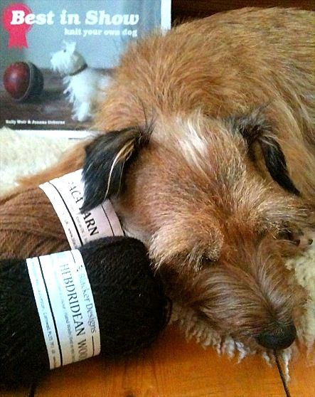 the target dog breed. Dog knitting