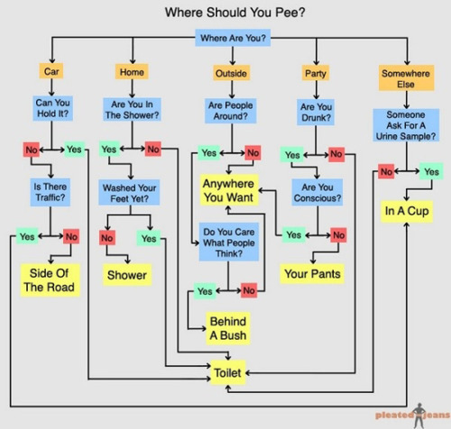 Busting for a wee? This &#8220;Flow&#8221; chart will. Busting for a wee? This “Flow” chart will help you decide where to go. Posted 5 months ago