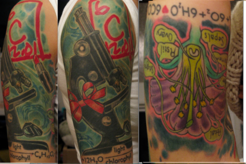 after 8 months, my half sleeve of girly-science is complete.i’d like ...
