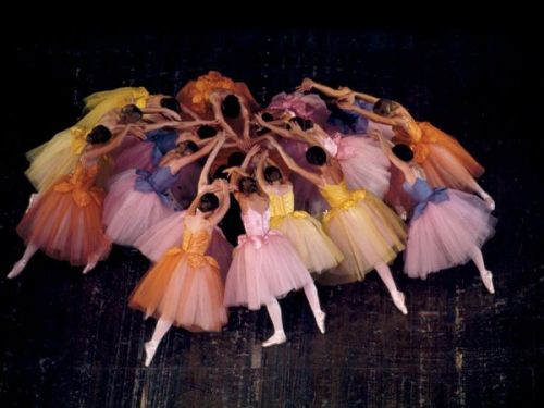 theantidote:

Ballet Dancers, California
Photograph by James L. Amos, National Geographic:
Like nodding flowers, these ballerinas flow together as much for the palette of their costumes as for the choreography of the dance. Photographer James L. Blair has wisely photographed from above, allowing the soft pastels of the tutus to seem suspended against the simple dark background of the floor. —Annie Griffiths
(From crashinglybeautiful: couleurs &amp; nationalgeographicmagazine:)
