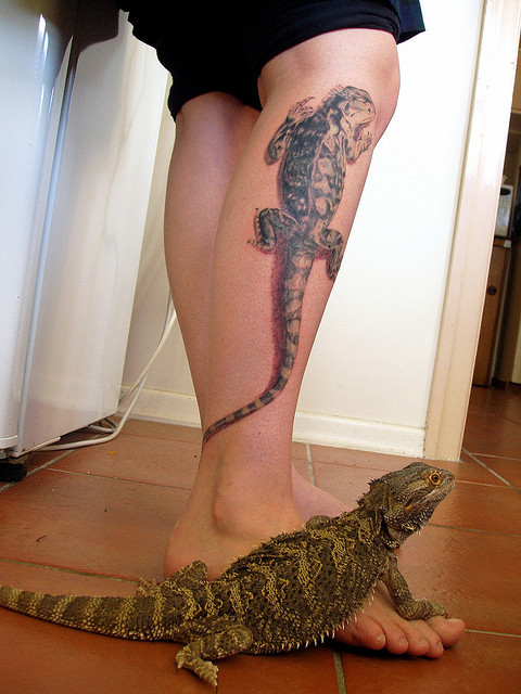 Tattoos For Pets. Tagged: tattoos pets pet