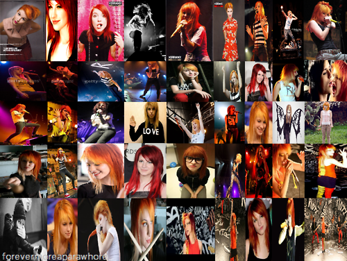A collage I made of Hayley Submitted by forevermoreaparawhore