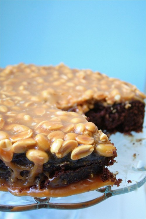 mommycoddle:

The Curvy Carrot&#160;» Caramel-Peanut-Topped Brownie Cake

