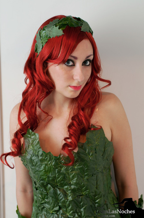 Poison Ivy from Batman Series