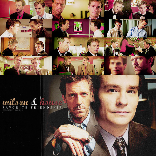 TOP FAVORITE FRIENDSHIPnot in a particular order ϟ gregory house & james wilson