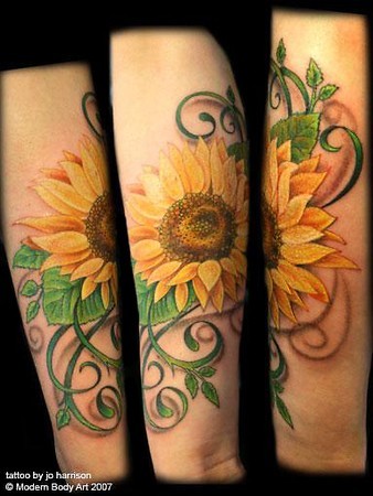 I really want a sunflower tattoo. I can't even explain how much sunflowers 
