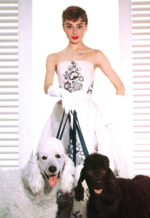 Audrey Hepburn in “Sabrina” 1954