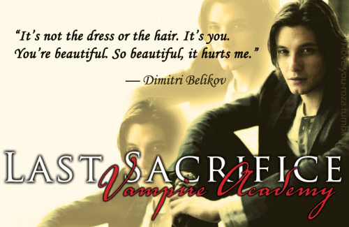 The Guardians Dimitri and Rose Vampire Academy
