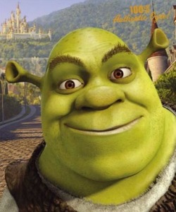 lovershpotter:

Sabe por que Shrek é o melhor conto de fadas&#160;? Porque ensina que ninguém precisa ser perfeito para ter um final feliz. 
