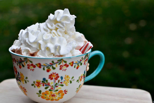 This looks rather cute, and rather yummy hehe
Mmmmm could so drink a hot chocolate with marshmallows and cream nom nom :’)
