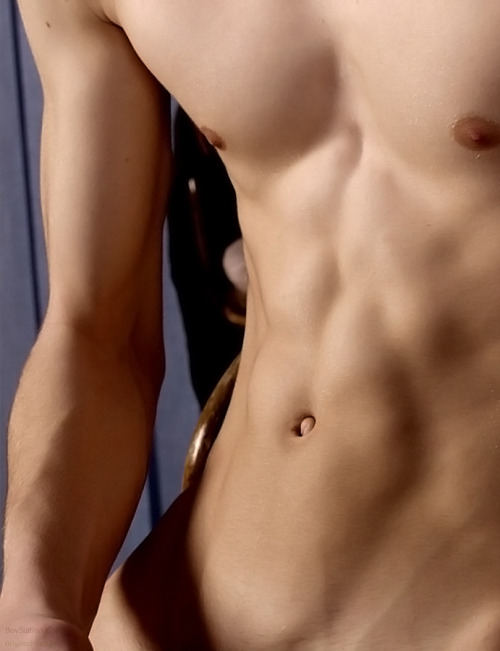 A Sculpted Young Body Reblogged 1 year ago from hotfreshandcute 616 notes