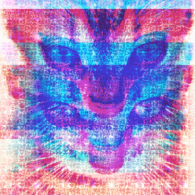 trippy cat gif | WiffleGif