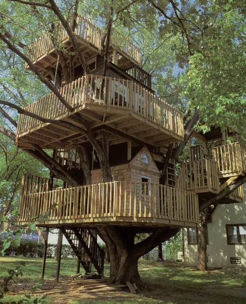 beenwaitingfortoolong:  ohsuckerpunch:  Eu sempre quis uma casa na árvore    Isso não é uma casa. É uma mansão na árvore. O: