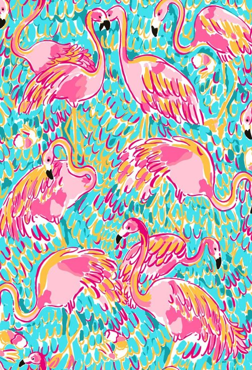  lilly pulitzer