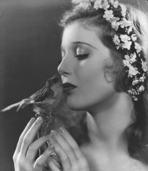 tagged as Loretta Young