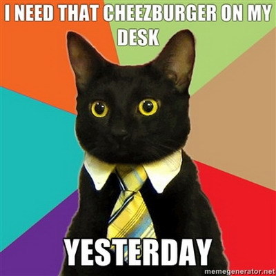 business cat meme. Meme alert: Business Cat