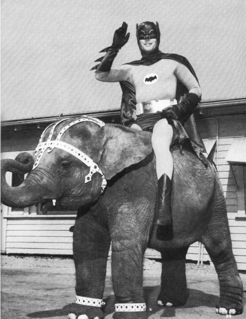 Date unknown
Batman riding an elephant.