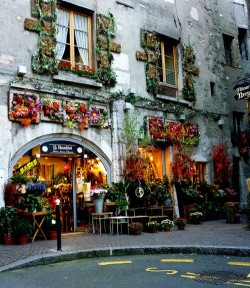 
Flower shop in Annecy  | via aworldofwhatever : ysvoice : petapeta
