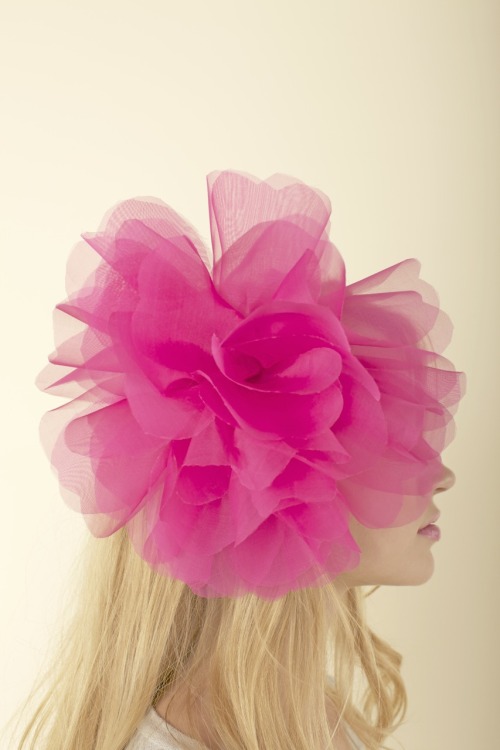 tulleandchantilly:

the blonde and the bold pink, this style of color palette fascinates me!!! What about you?
