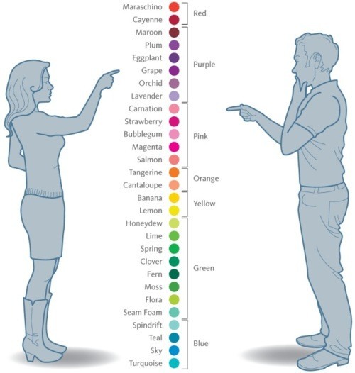 Womens idea of colour VS Mens