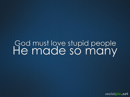 funny quotes about stupid people. 66 notes · #picture quotes